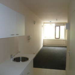 Foto #3 Appartement Wittevrouwensingel Utrecht