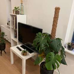 Foto #2 Appartement St. Janstraat Breda