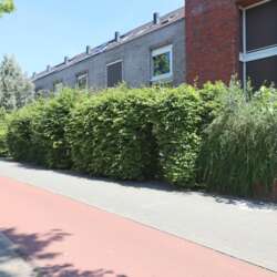 Foto #2 Huurwoning Constant Erzeijstraat Utrecht