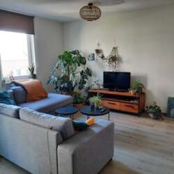 Foto #1 Appartement Zilverstein Oegstgeest