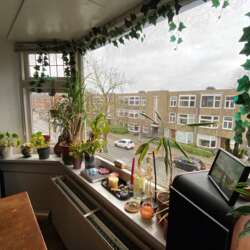 Foto #2 Appartement Ceramstraat Groningen