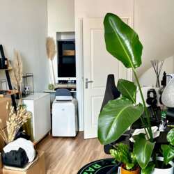 Foto #1 Appartement Beeklaan Den Haag