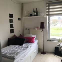 Appartement Sterreplein