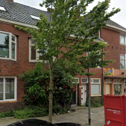 Appartement Helper Westsingel