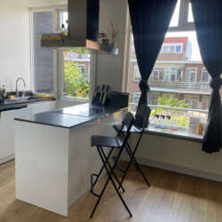 Foto #3 Appartement Ben Viljoenstraat Haarlem