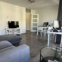 Foto #2 Appartement Boeninlaan Amsterdam