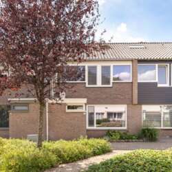 Appartement Mispelbeek