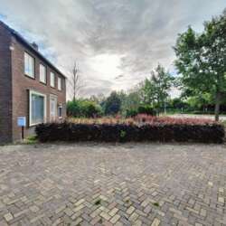 Huurwoning Oirschotseweg