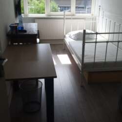 Foto #4 Kamer Staringstraat Oss