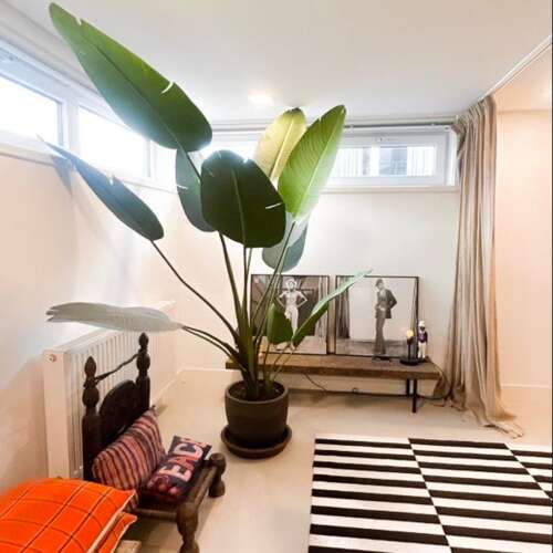 Foto #10 Huurwoning Amsteldijk Amsterdam