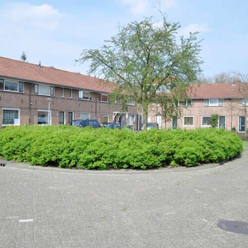 Foto #12 Huurwoning Bergplein Rotterdam