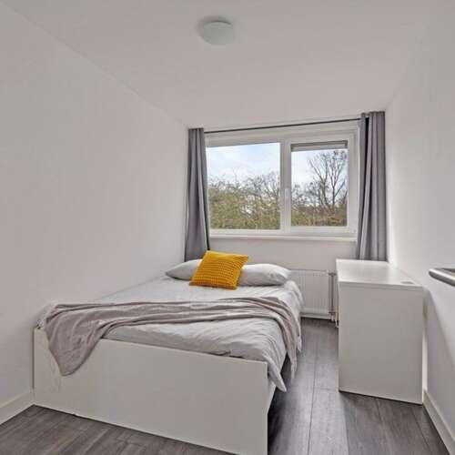 Foto #5 Appartement Van Boshuizenstraat Amsterdam