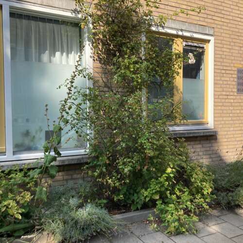 Foto #29 Appartement Tweede Oosterparkstraat Amsterdam