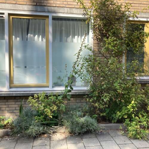 Foto #30 Appartement Tweede Oosterparkstraat Amsterdam