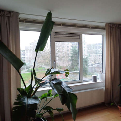 Foto #14 Appartement Krooswijkhof Amsterdam