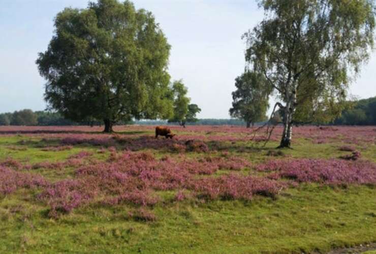 Foto #30 Huurwoning Prinses Margriethof Naarden