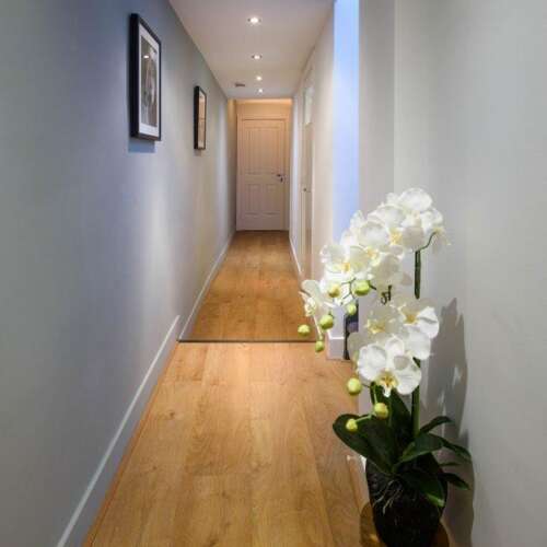 Foto #6 Appartement Herderinnestraat Den Haag