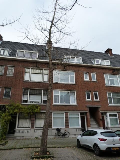 Delfgaauwstraat 53 a