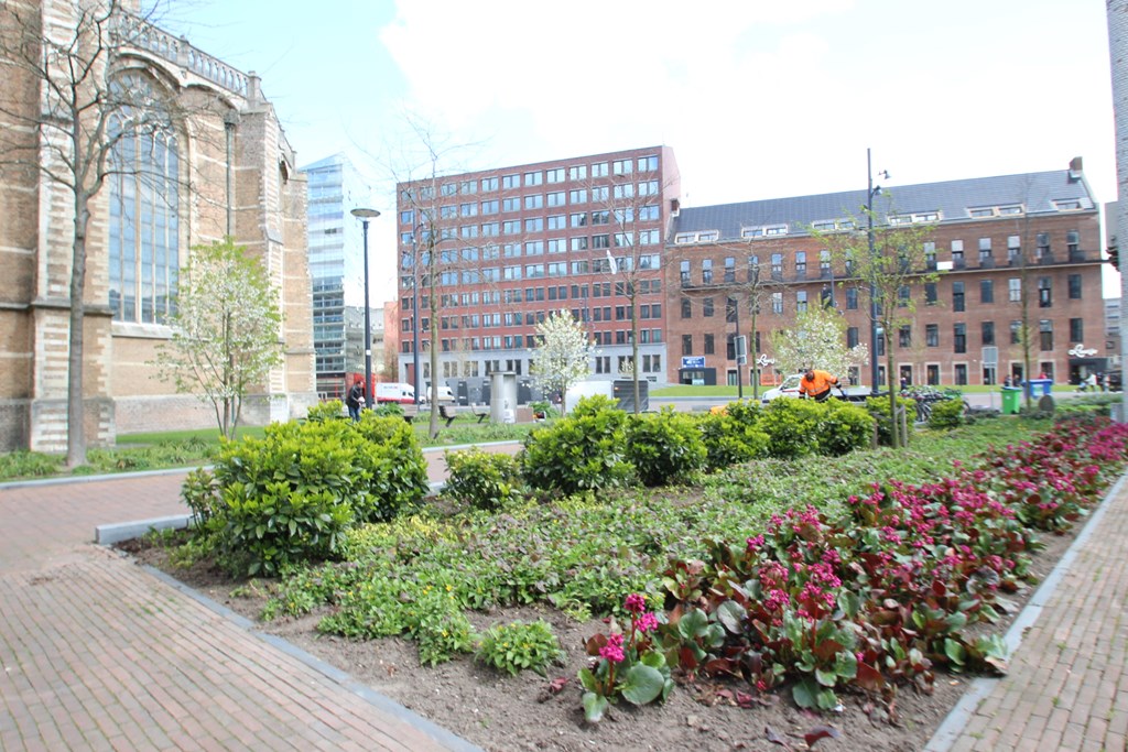 Rotterdam - Grotekerkplein